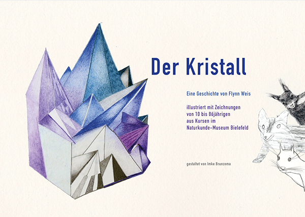 Cover Bild Buch "Der Kristall"